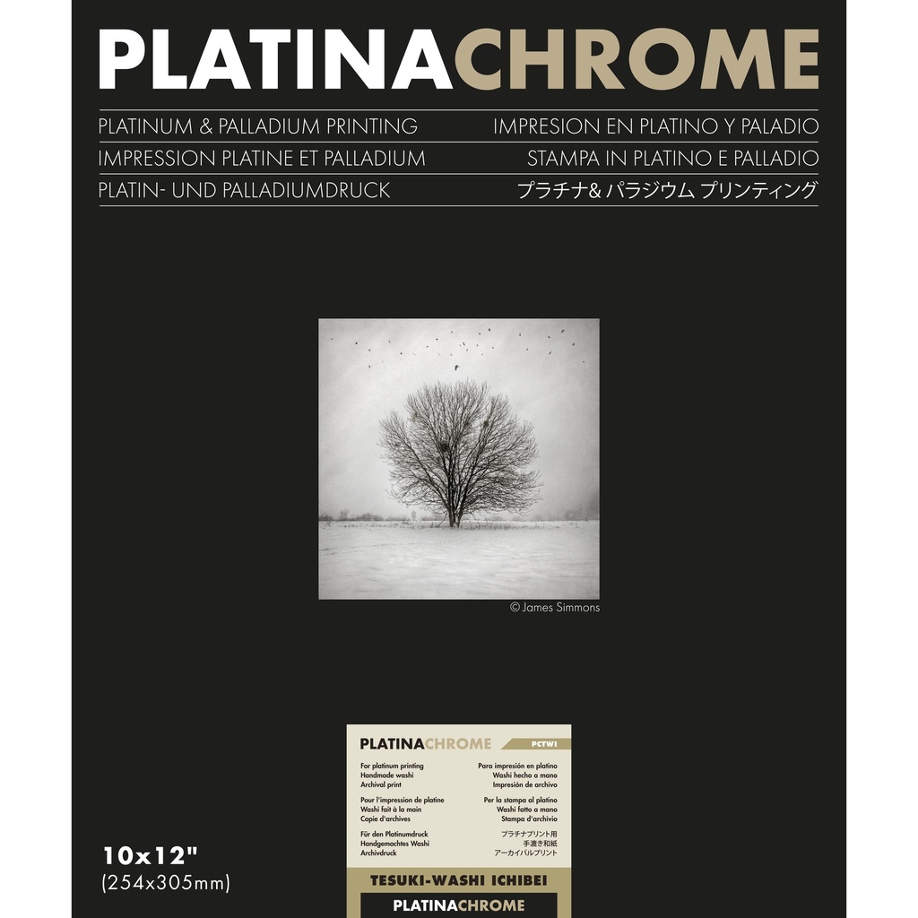 PLATINACHROME Tesuki-Washi Ichibei -10x12" - 25.4 x 30.5cm (10 Blatt)