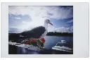 2017-11-06__vie__mix__staff__lomo-instant-mini__023.webp
