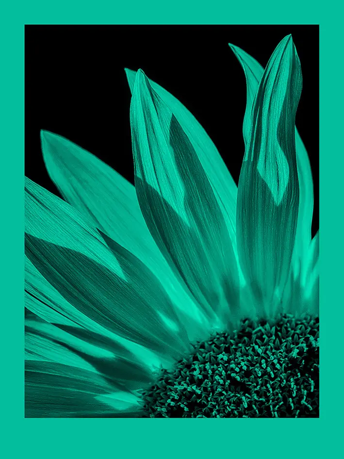 fomapastel_mg_view_14-5_cyan_photo_m.webp