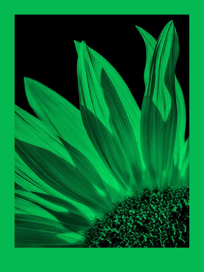 fomapastel_mg_view_14-2_green_photo_m.webp