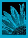 fomapastel_mg_view_14-3_blue_photo_m.webp