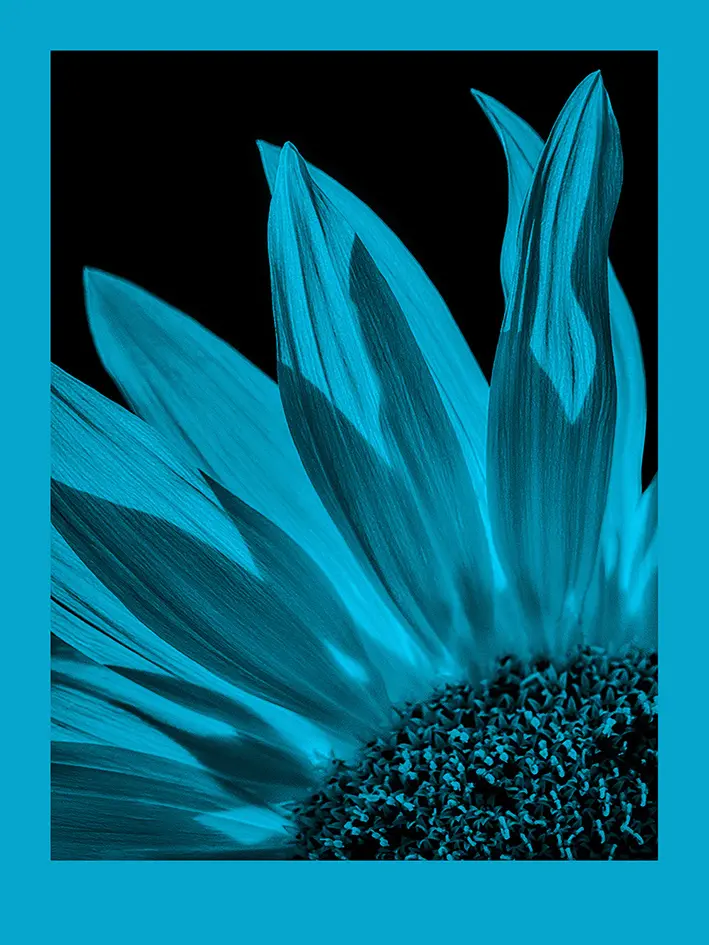 fomapastel_mg_view_14-3_blue_photo_m.webp