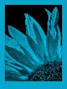 fomapastel_mg_view_14-3_blue_photo_m.webp