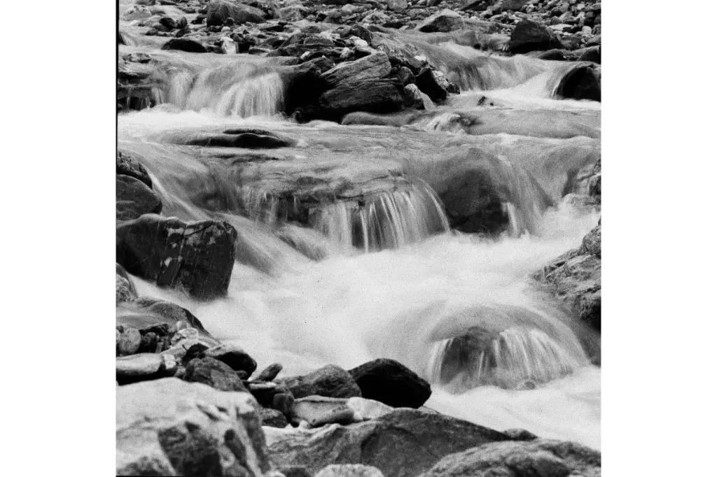 2020-12-14__us__kathryn-reichert__ladygrey-bw-120-film__001.webp.jpg