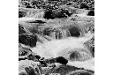2020-12-14__us__kathryn-reichert__ladygrey-bw-120-film__001.webp.jpg