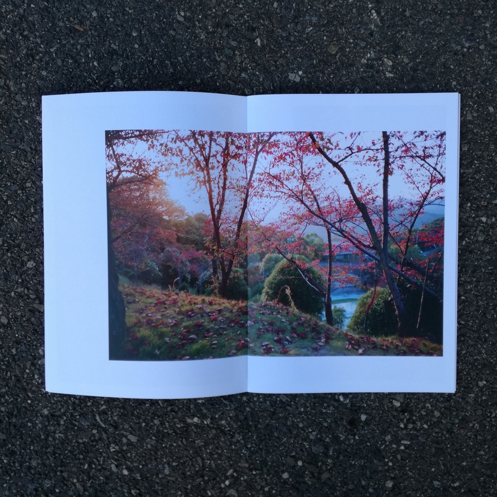 RITES OF FALL, Petar Arapovic