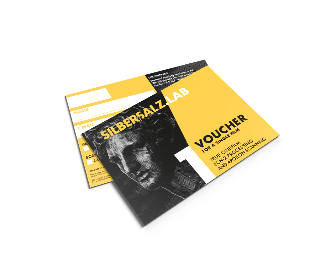 SILBERSALZ.LAB VOUCHER per 1 pellicola (135-36)