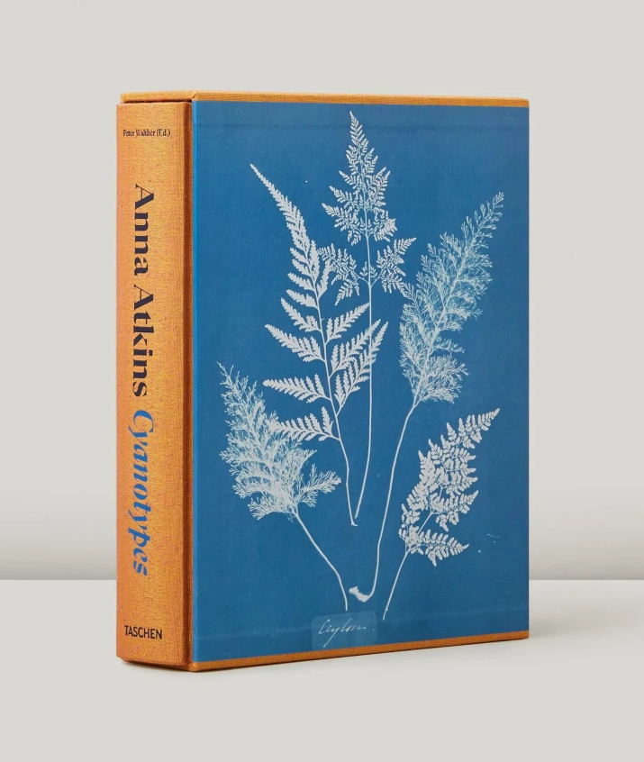 Anna Atkins - Cyanotypes