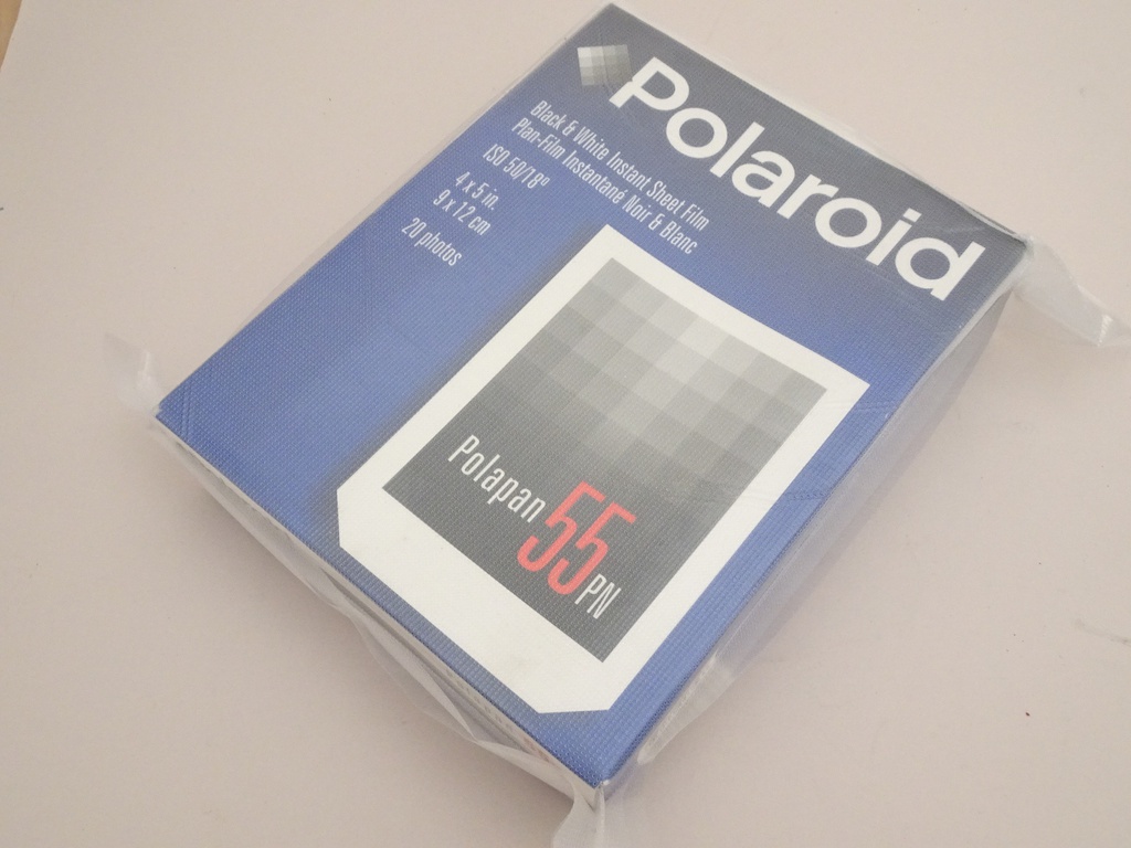 Expired Polaroid Polapan 55PN ISO 50 4x5'' (20 photos) (JUN/00)