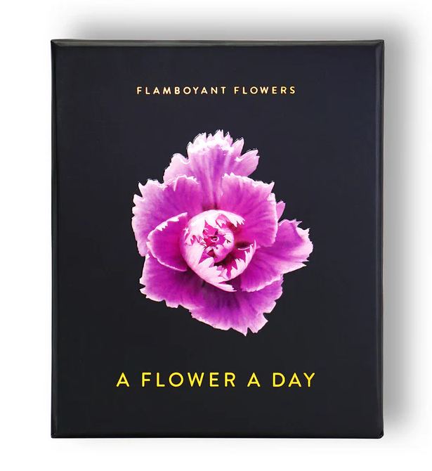 Flamboyant Flowers Tischkalender (Photodarium)