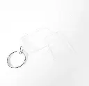 Passphotos keyring pendant