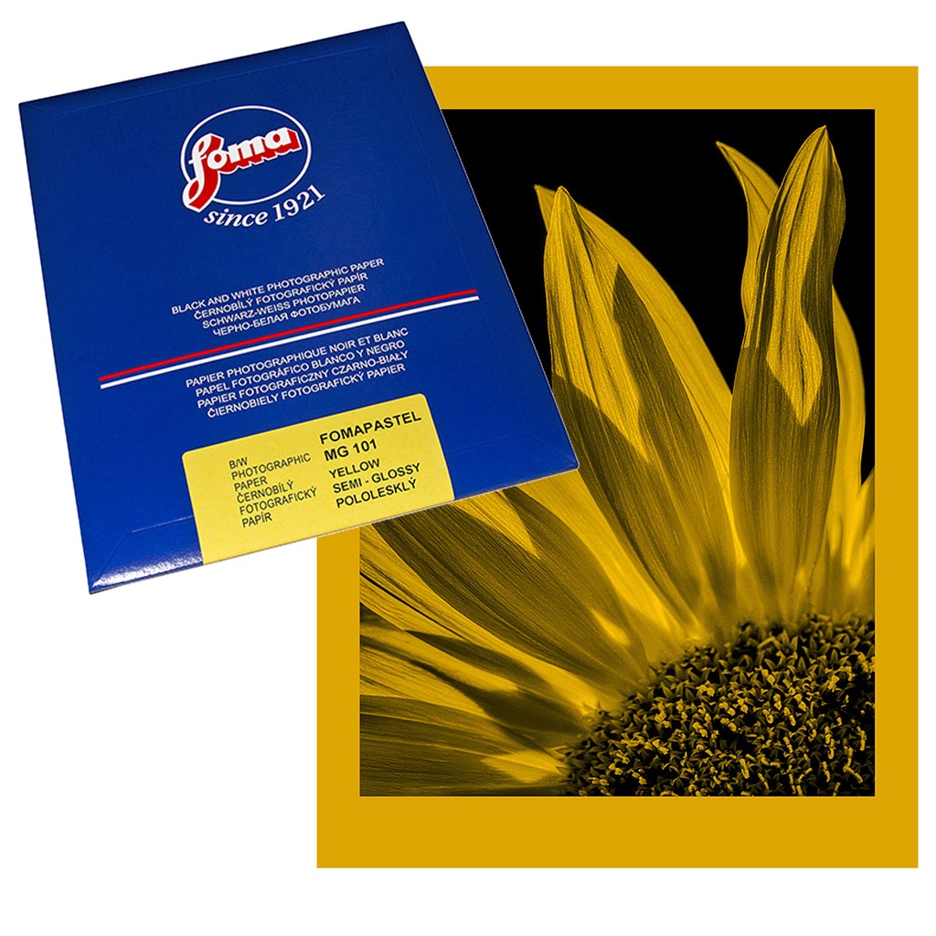 FOMAPASTEL MG 101 Yellow FB 20.3 x 25.4 cm (8x10") 10 sheets