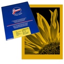 FOMAPASTEL MG 101 Yellow FB 20.3 x 25.4 cm (8x10") 10 sheets