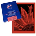 FOMAPASTEL MG 171 Red FB 20.3 x 25.4 cm (8x10") 10 sheets