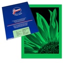 FOMAPASTEL MG 151 Green FB 20.3 x 25.4 cm (8x10") 10 sheets